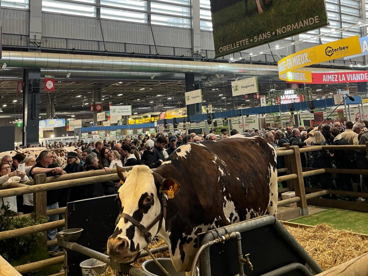 Salon International de l'Agriculture 2024