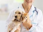 Analyses vétérinaires chiens et chats - Agrivalys71