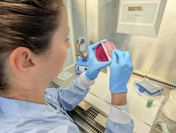 Analyse microbienne