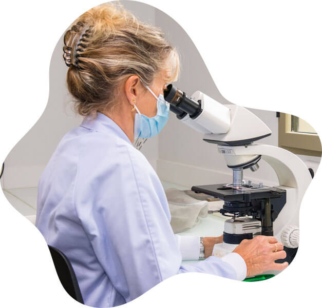 Scientific microscopy analyzes