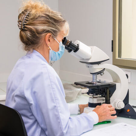 Microscope research elisa technique