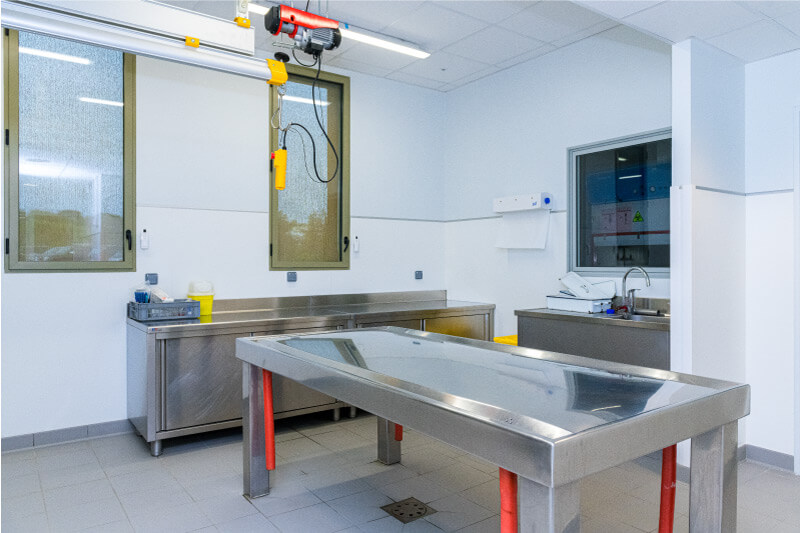 Salle autopsie laboratoire vétérinaire