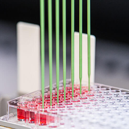Pipetages multiples analyses laboratoire